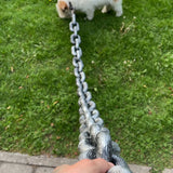 🐶The Chain Paws - 2024 Funniest Pet Chain🔒