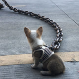 🐶The Chain Paws - 2024 Funniest Pet Chain🔒