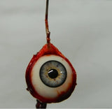 👁️Realistic human eyeball prop