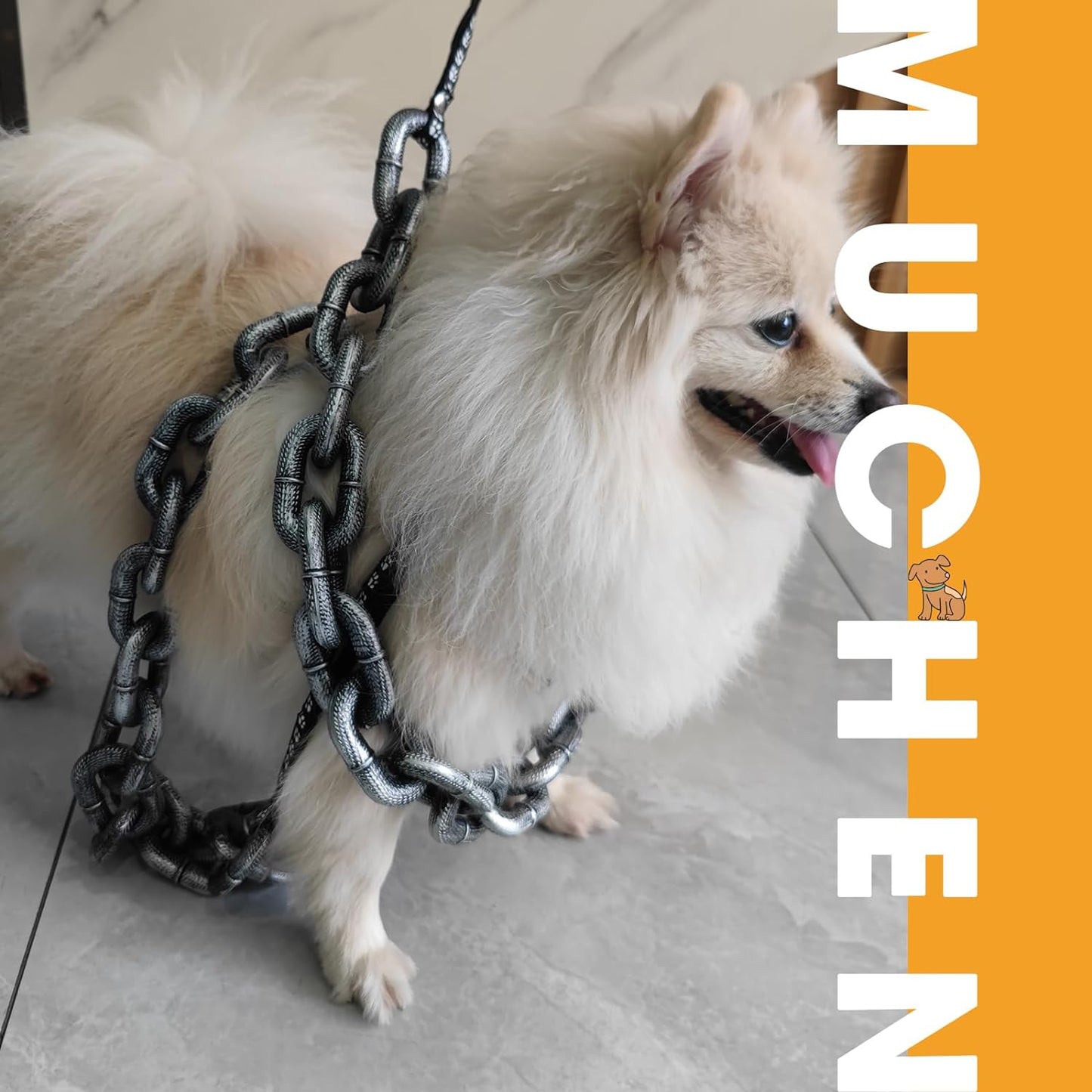 🐶The Chain Paws - 2024 Funniest Pet Chain🔒